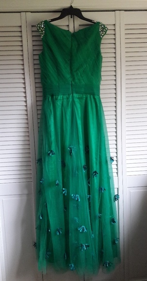 Tulle Ball Gown - Picture 5 of 16